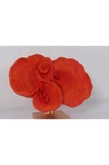 Sthp-217 Turuncu Dalgalı Mercan 14*32*27cm