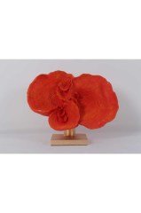 Sthp-217 Turuncu Dalgalı Mercan 14*32*27cm