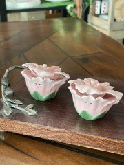 Pink Rose Tuzluk Biberlik Set