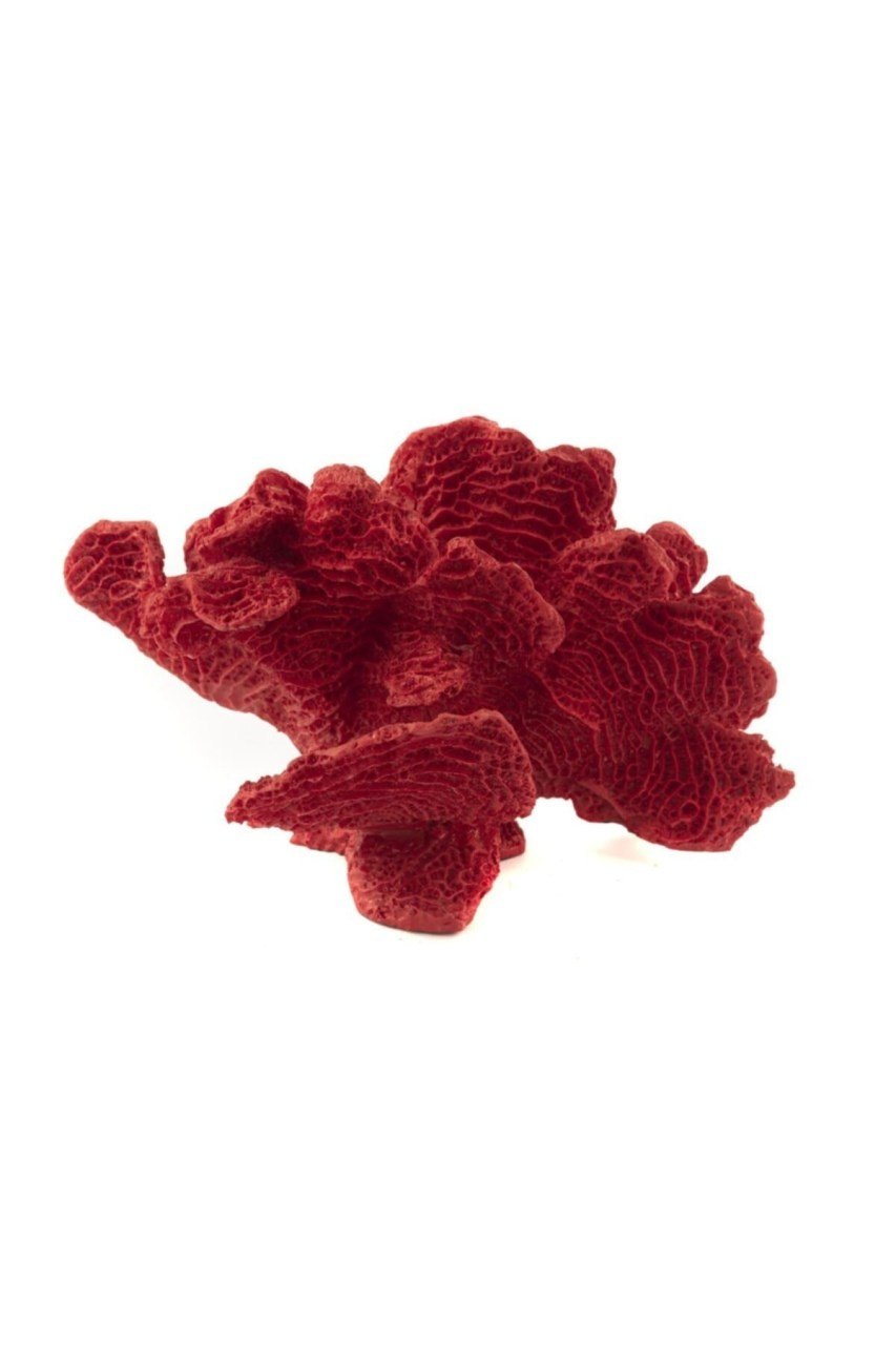 Kırmızı Mercan Resin Obje 24x14cm