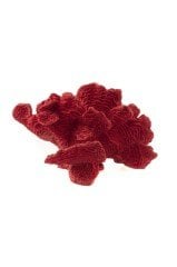 Kırmızı Mercan Resin Obje 24x14cm
