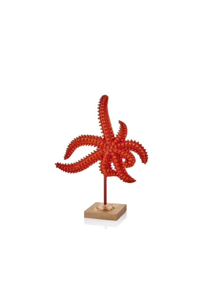 Kaideli Deniz Yıldızı Biblo 28 Cm