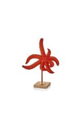 Kaideli Deniz Yıldızı Biblo 28 Cm