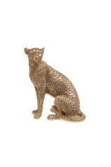 Leopar Biblo