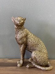 Leopar Biblo
