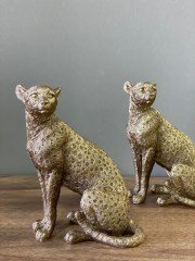 Leopar Biblo