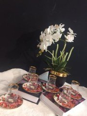 Helena kırmızı 12 parça çay seti