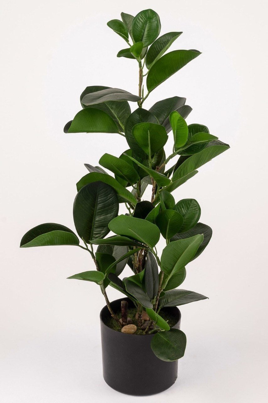 Yeşil Hookeriana Yapay Çiçek 47cm