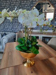 METAL ALTIN SAKSIDA ORKİDE CREAM 5'Lİ