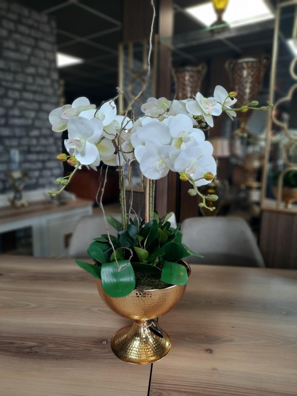 METAL ALTIN SAKSIDA ORKİDE CREAM 5'Lİ
