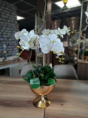 METAL ALTIN SAKSIDA ORKİDE CREAM 5'Lİ
