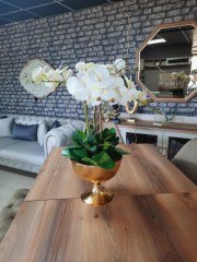 METAL ALTIN SAKSIDA ORKİDE CREAM 5'Lİ