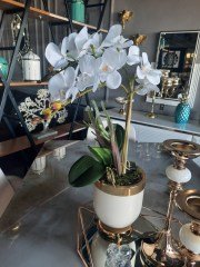 SAKSI CREAM GOLD ORKİDE 2 Lİ