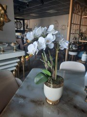 SAKSI CREAM GOLD ORKİDE 2 Lİ