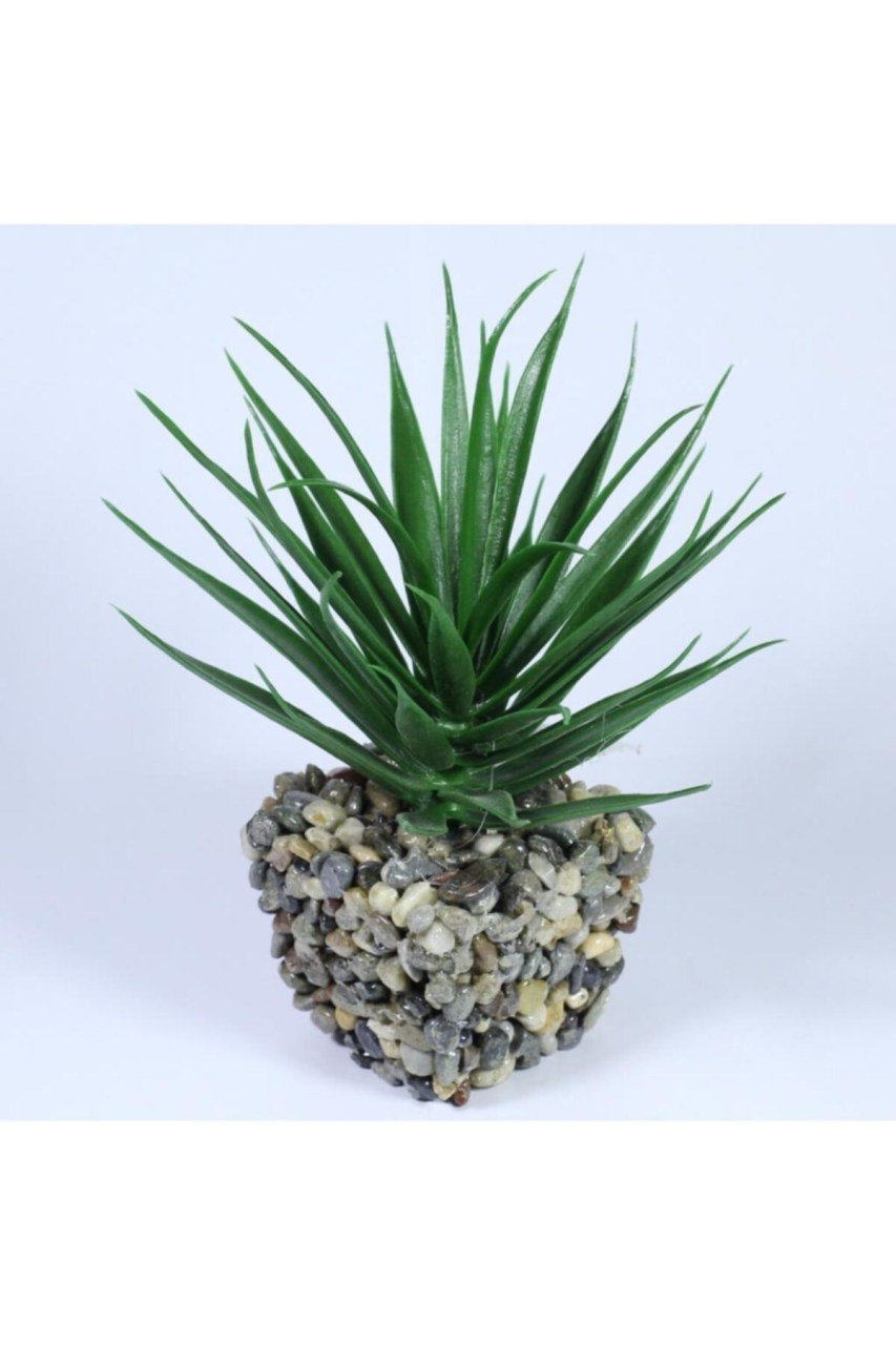 Yapay Çiçek Taş Saksıda Kaktüs Aloevera