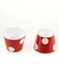 FRESHNESS DOTS TUZLUK BİBERLİK